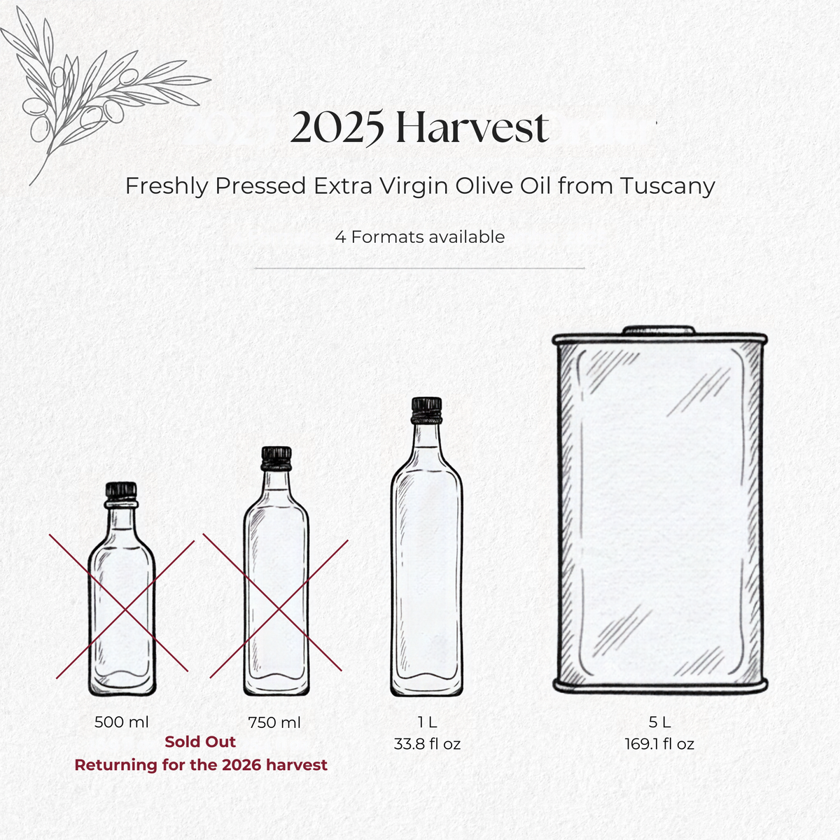 Wavy Hills Tuscan Extra Virgin Olive Oil – 2025 Harvest (From Pienza, Italy)